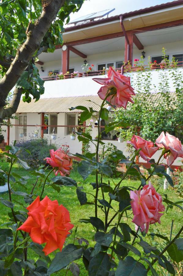 Casa Gia Hotel Costineşti Exterior foto