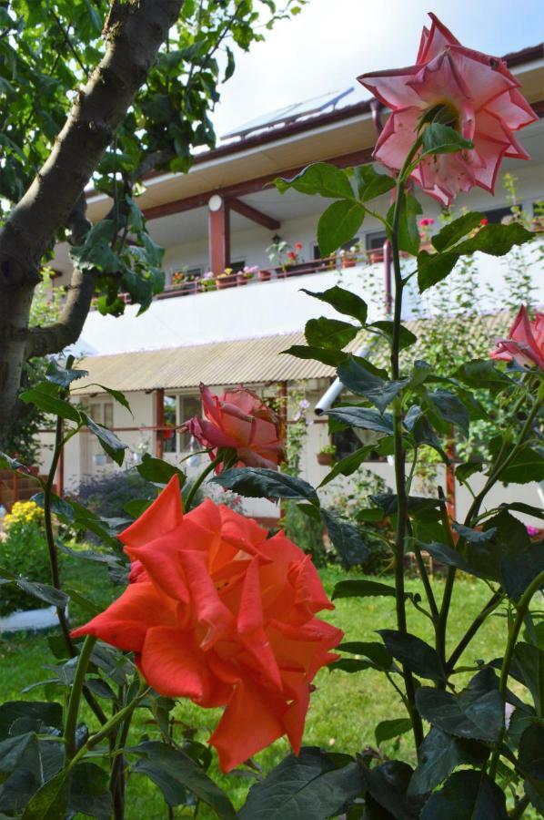 Casa Gia Hotel Costineşti Exterior foto
